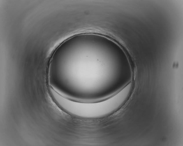 X0000111241500200907091346