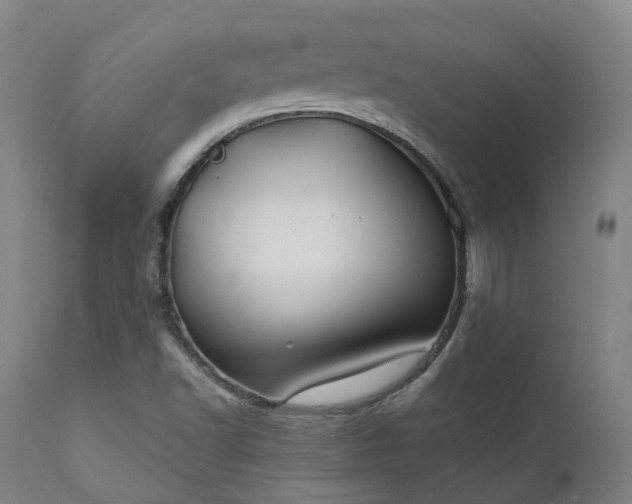 X0000111241502200907091347