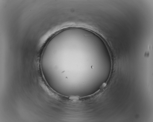 X0000111241503200907091347