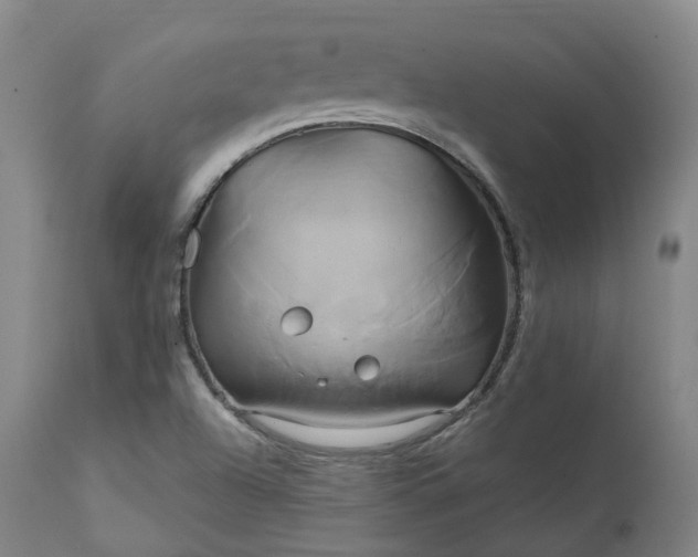 X0000111241504200907091347