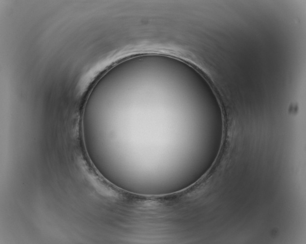 X0000111241507200907091347