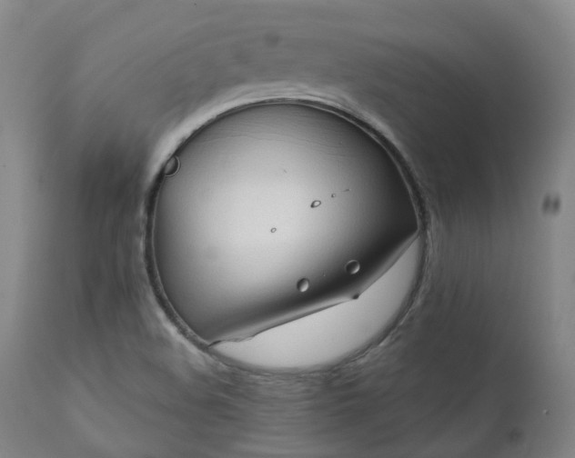 X0000111241508200907091347