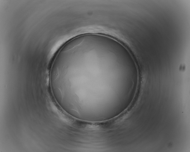 X0000111241509200907091347