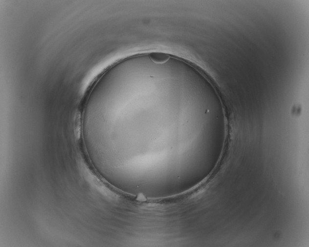 X0000111241510200907091347