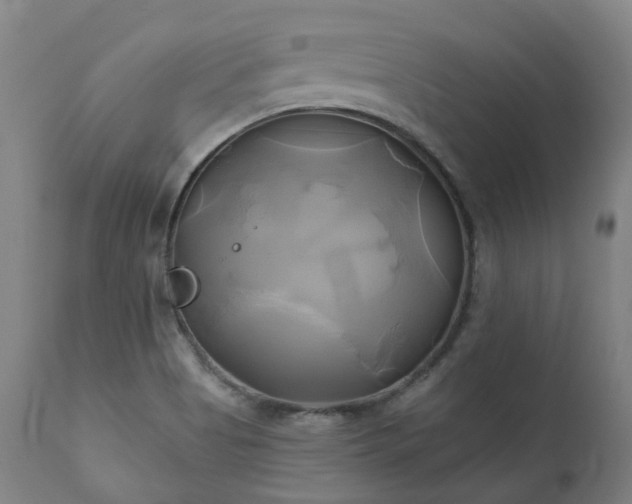 X0000111241513200907091347