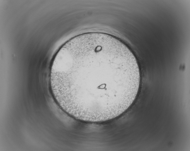 X0000111241514200907091347