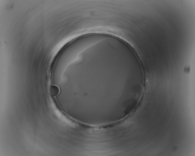 X0000111241515200907091347