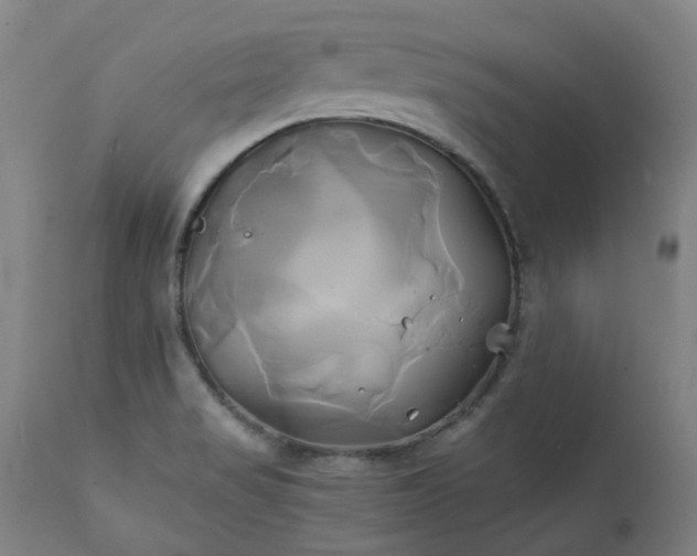 X0000111241517200907091347