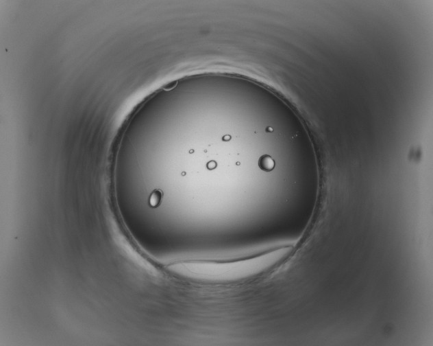 X0000111241518200907091347