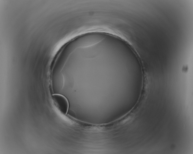 X0000111241519200907091347
