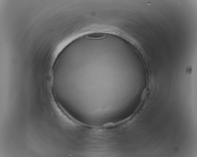 X0000111241520200907091347