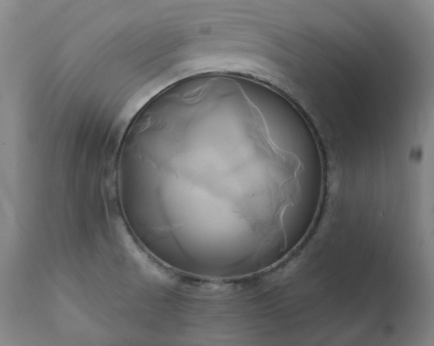 X0000111241521200907091347