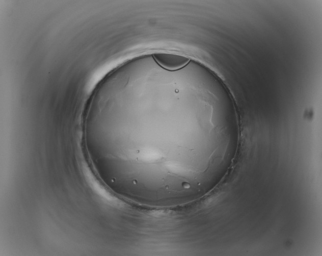 X0000111241523200907091347