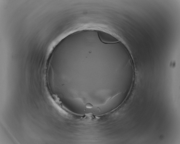 X0000111241525200907091347