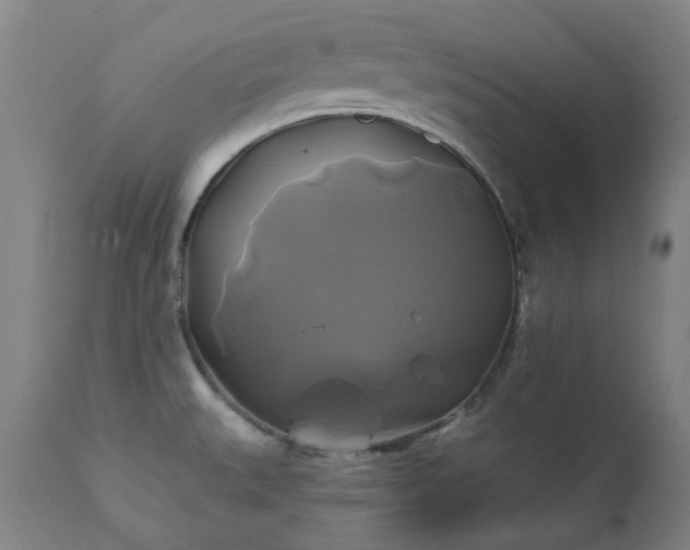 X0000111241527200907091347
