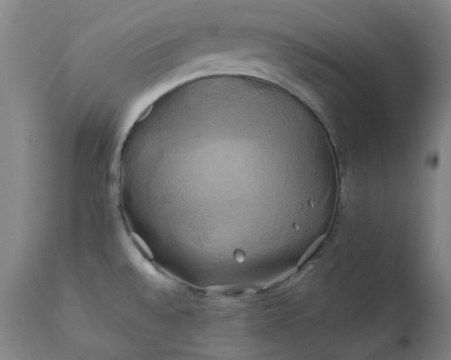 X0000111241528200907091347