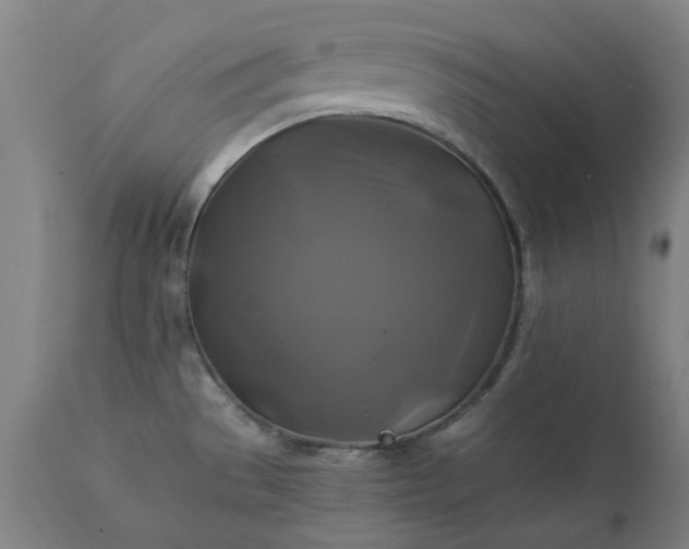 X0000111241529200907091347