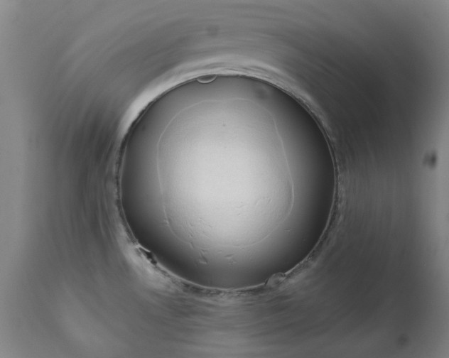 X0000111241530200907091347