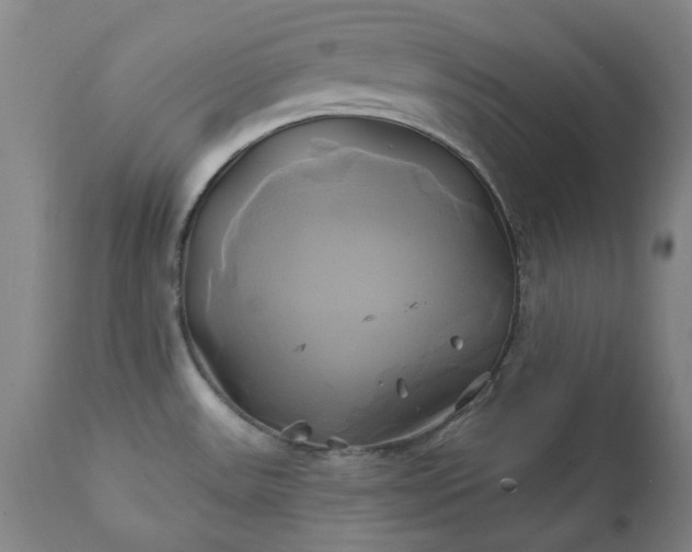 X0000111241531200907091347