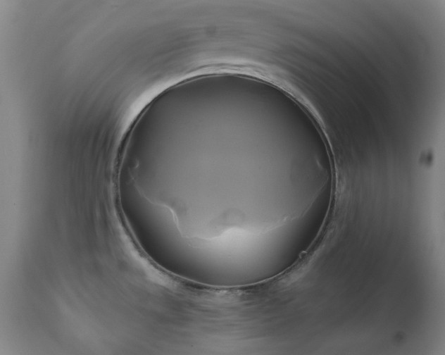 X0000111241533200907091347