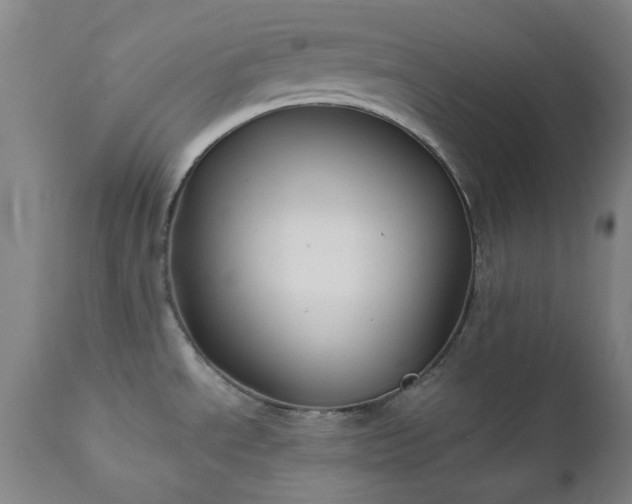 X0000111241534200907091347