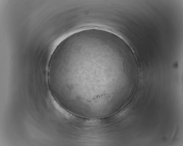 X0000111241535200907091347