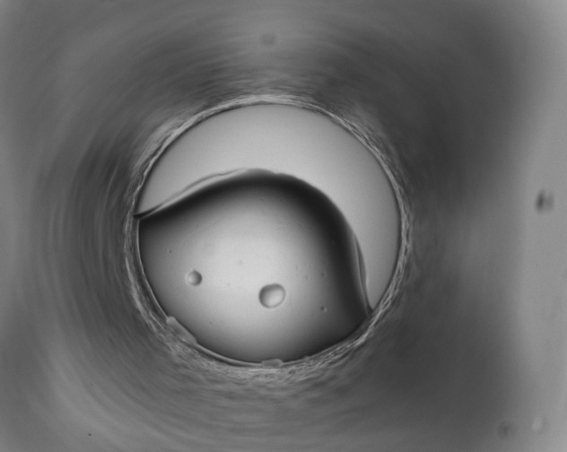 X0000111240001200907161353