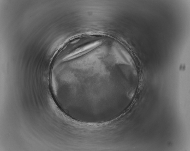 X0000111240002200907161353