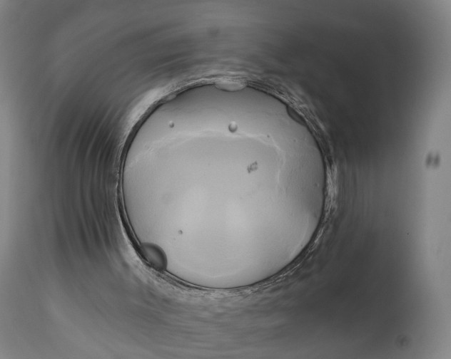 X0000111240003200907161353