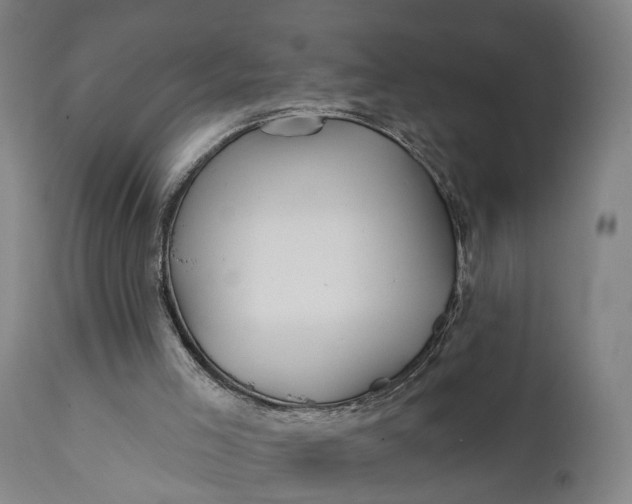 X0000111240005200907161353