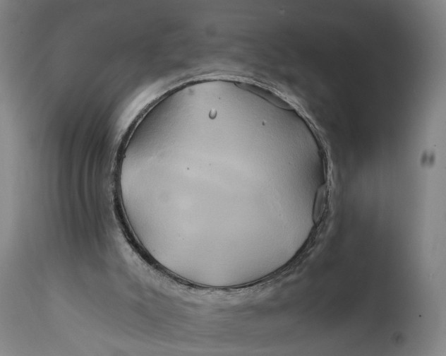 X0000111240007200907161353