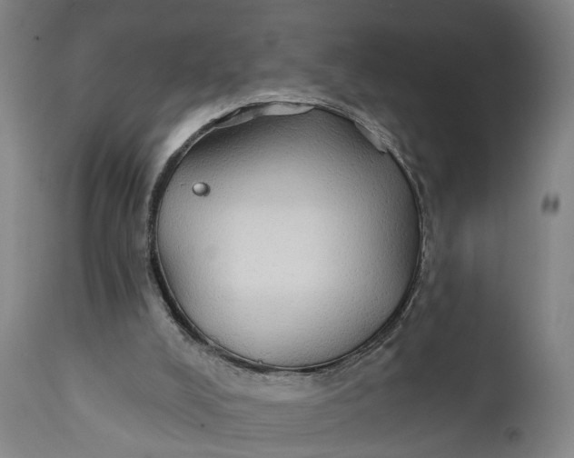 X0000111240008200907161353