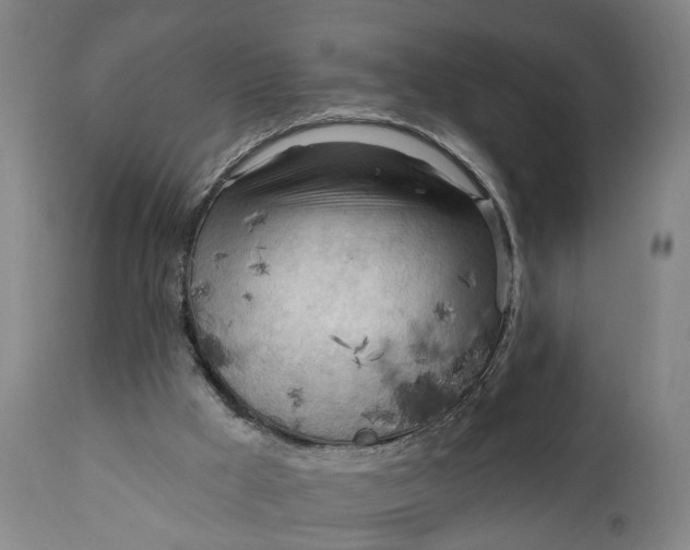 X0000111240009200907161353