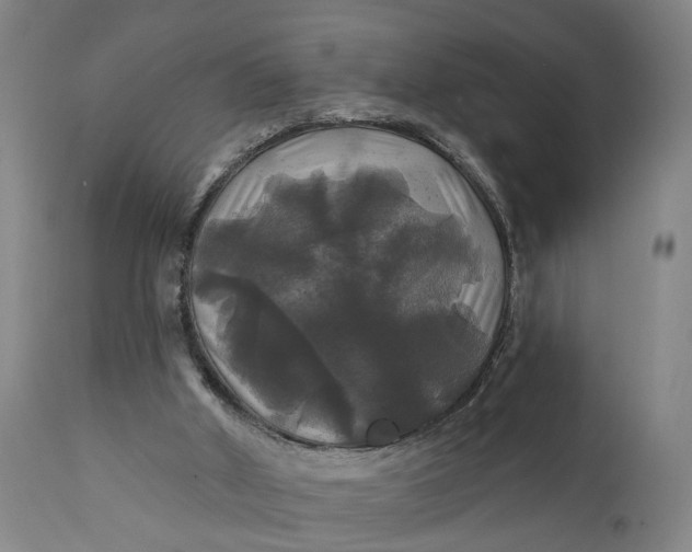 X0000111240010200907161353