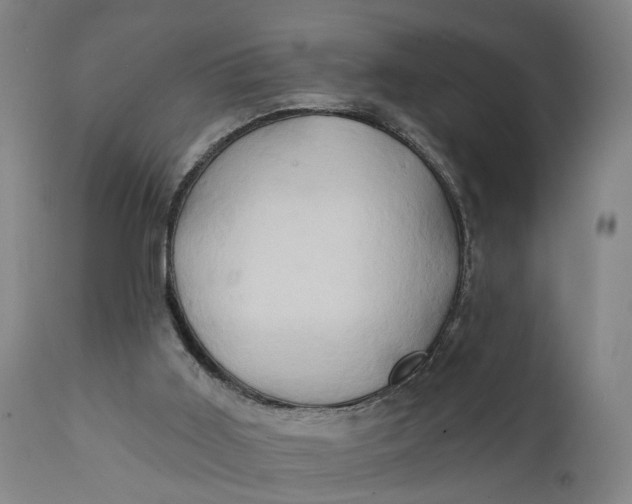 X0000111240011200907161353