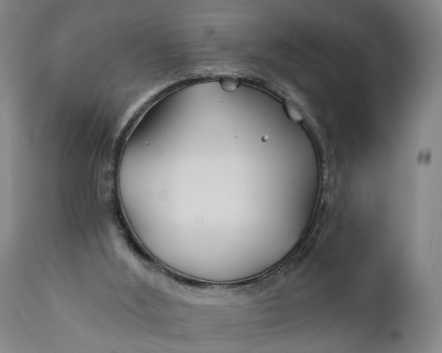 X0000111240012200907161353