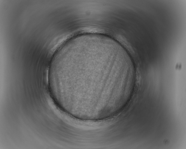 X0000111240014200907161353