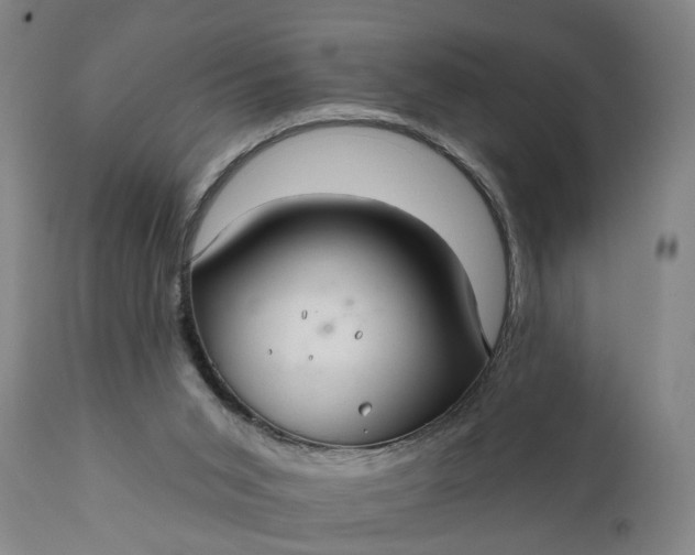 X0000111240015200907161353