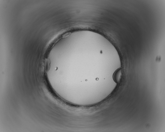 X0000111240016200907161353