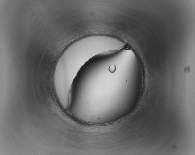 X0000111240017200907161353