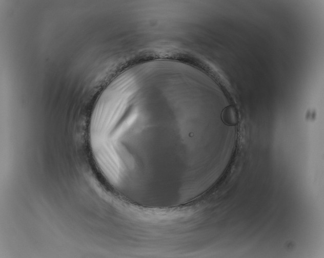 X0000111240018200907161353