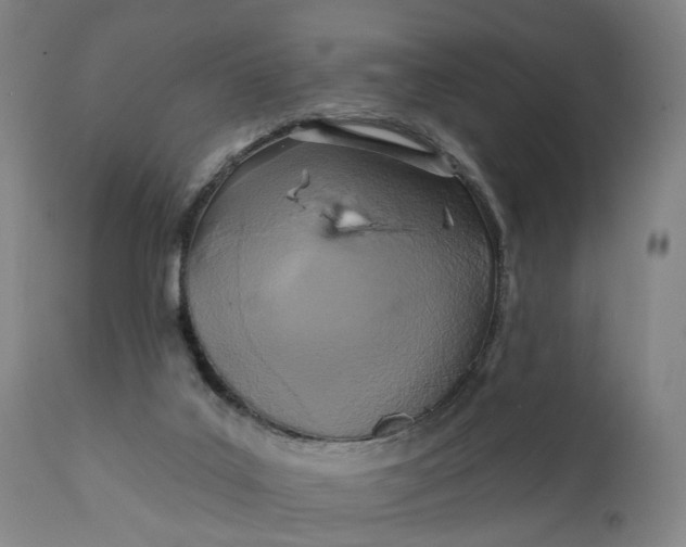 X0000111240019200907161353