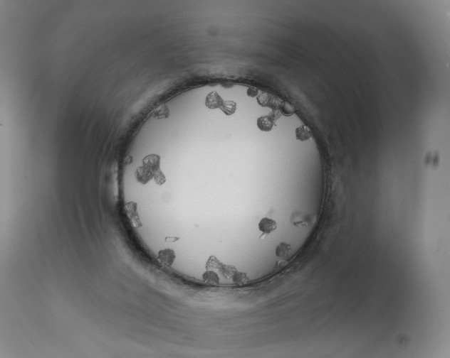 X0000111240020200907161353