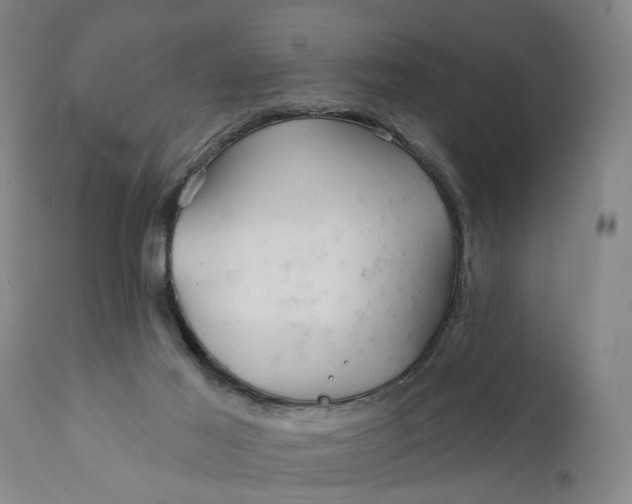 X0000111240021200907161353