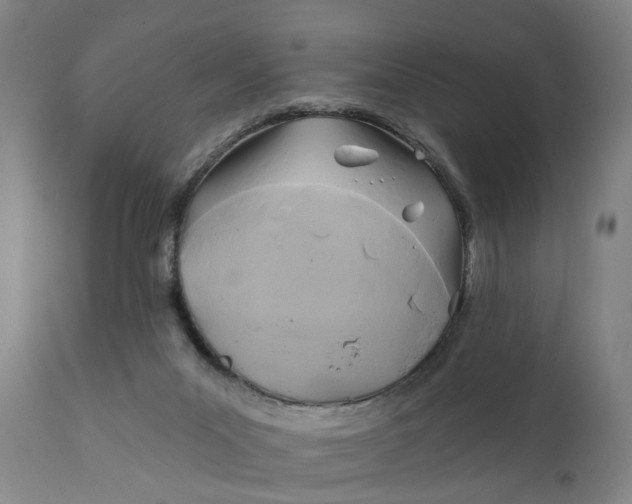 X0000111240023200907161353