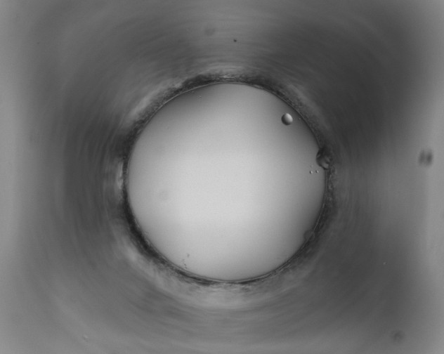 X0000111240024200907161353