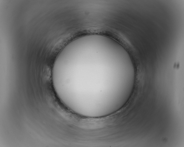 X0000111240025200907161353