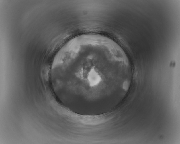 X0000111240026200907161353