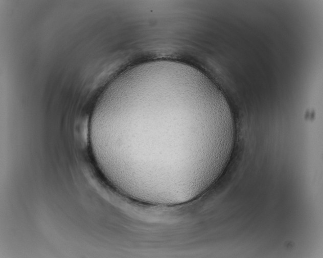 X0000111240028200907161353