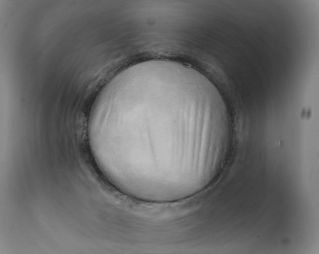 X0000111240029200907161353